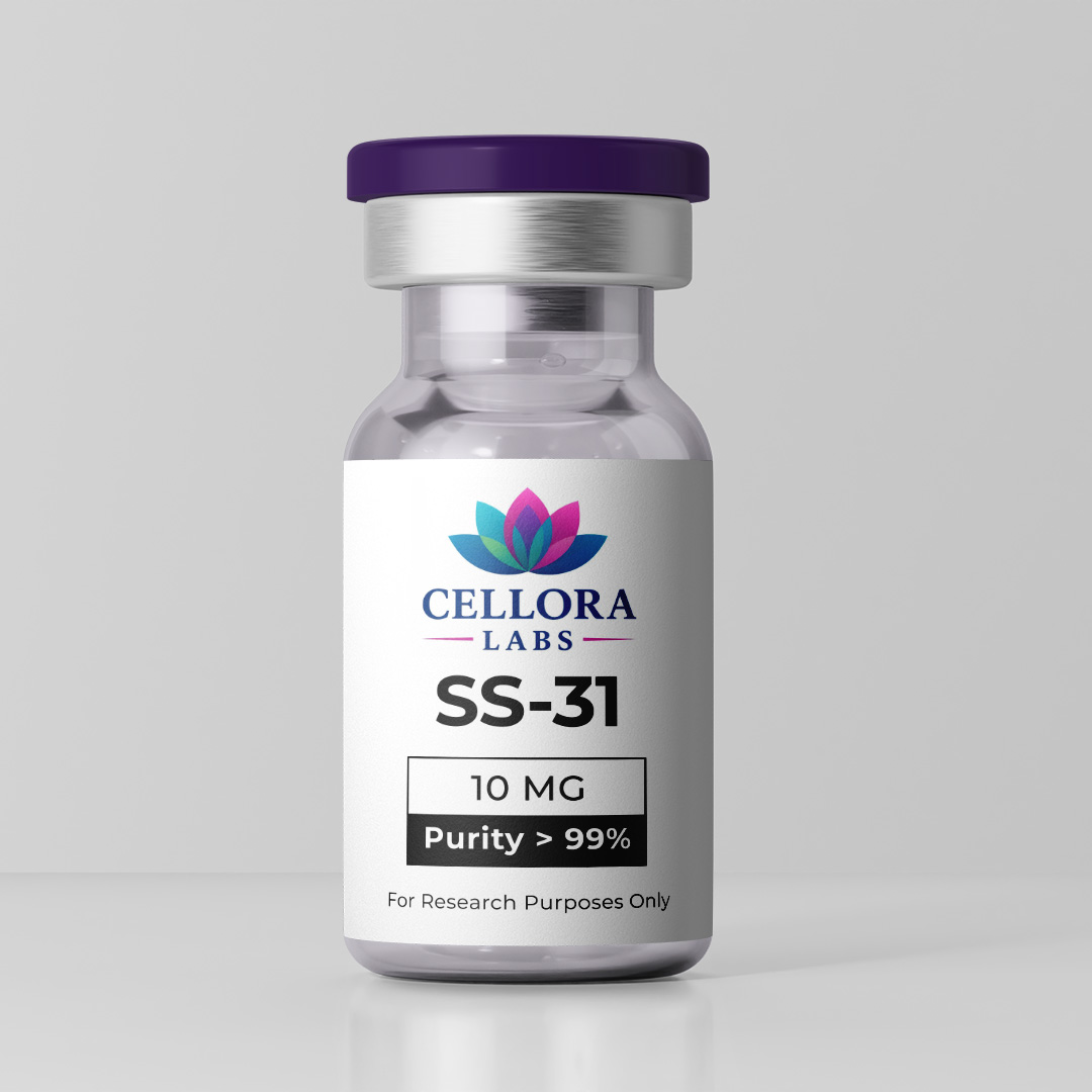 ss 31
